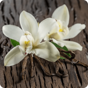 rosas brancas com objetos de madeira ao fundo