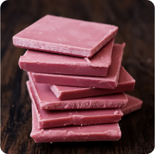 rosas brancas com folhas verdes no fundo